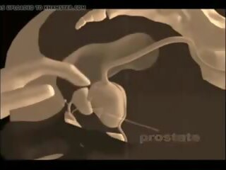 Hvordan til gi en prostata massasje, gratis xxx massasje kjønn film video